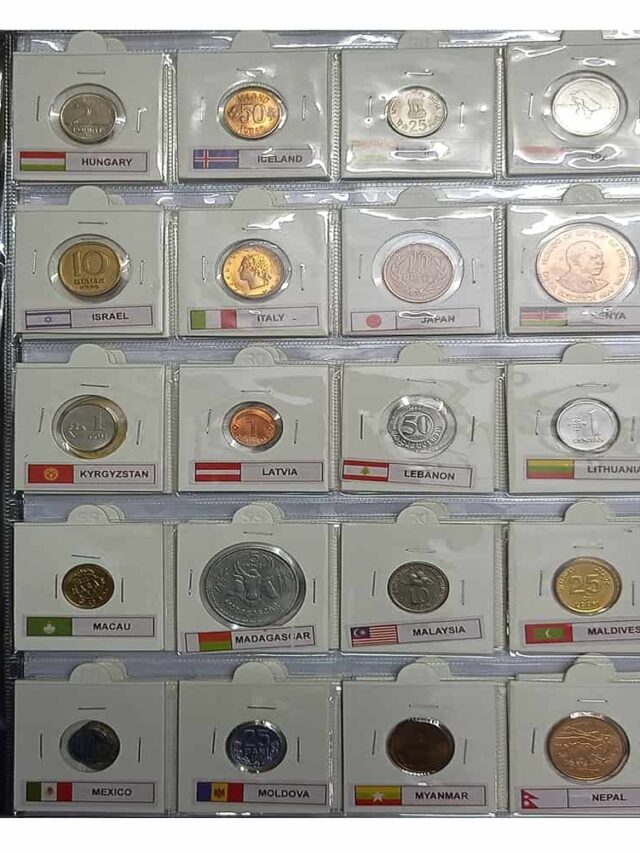 The Top 10 Essential Coin Collecting Guides For Enthusiasts Damia