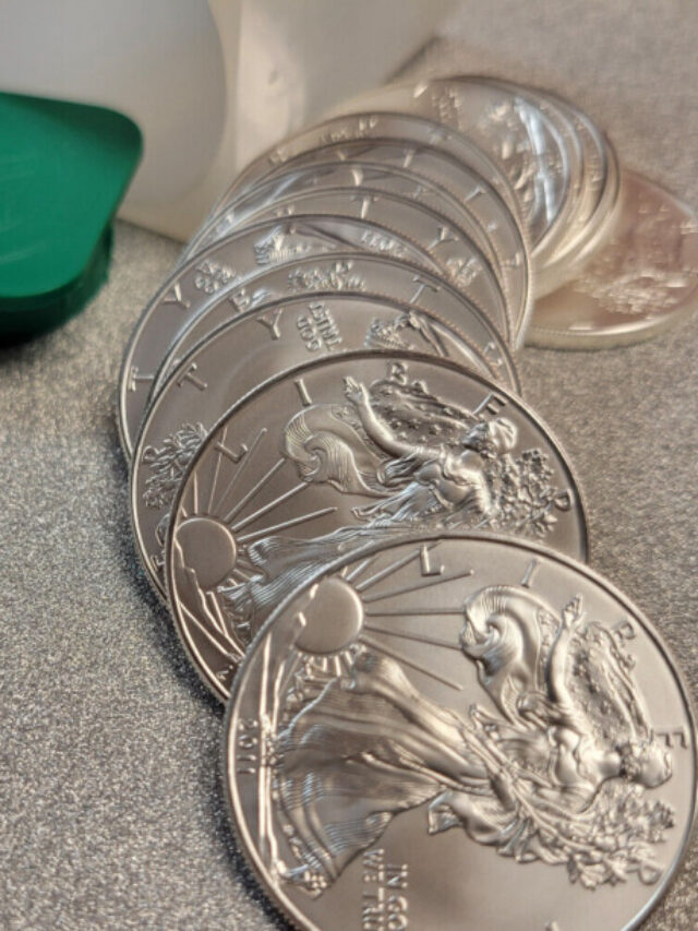 10 American Silver Eagle Coin Collector
