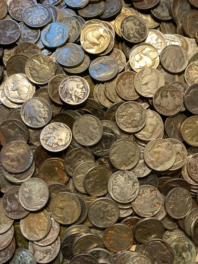 Top 9 Rarest Buffalo Nickels Ever Made