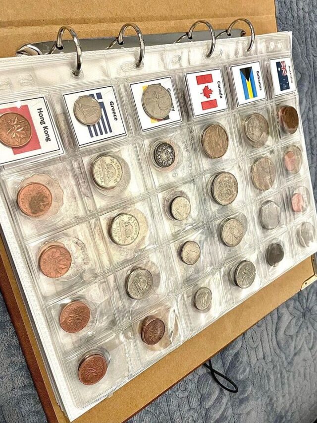 Top 10 Best Coin Collecting Books Of 2024