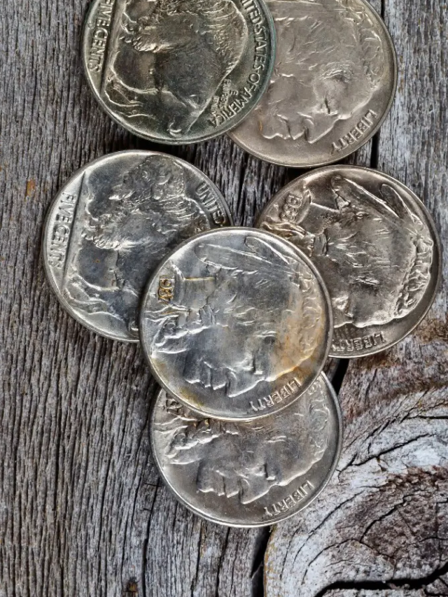 10 Great Coin Books to Add to Your Collector’s Bookshelf