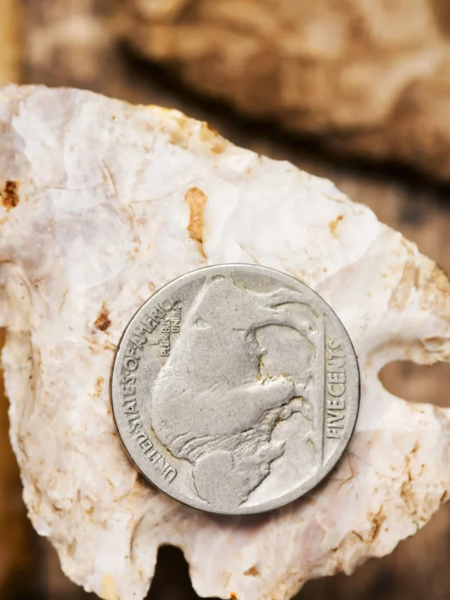 8 of the Rarest most valuable Buffalo Indian Nickel