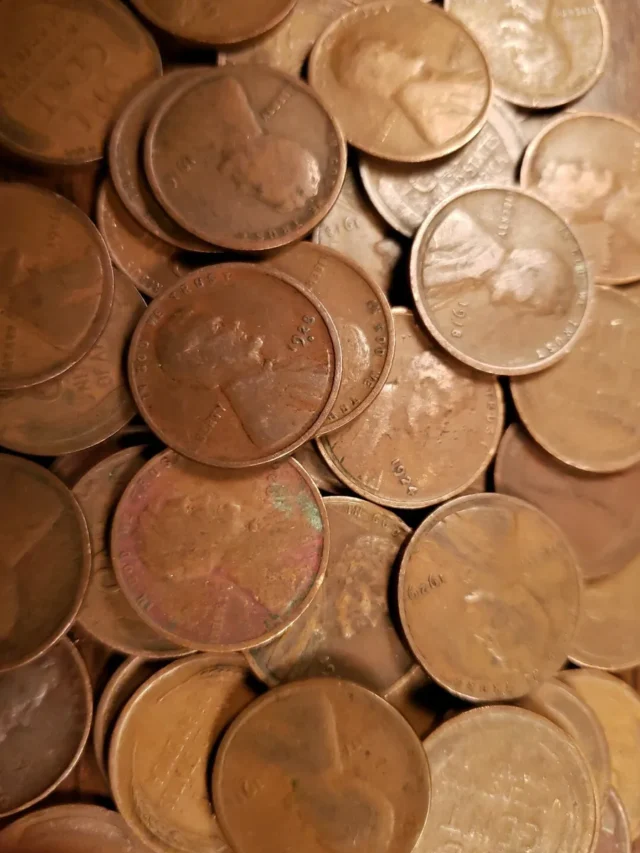 Top 16 Most Valuable Wheat Pennies 2024