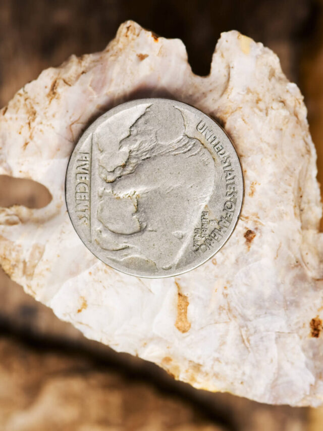 The Top 10 Buffalo Indian Nickel